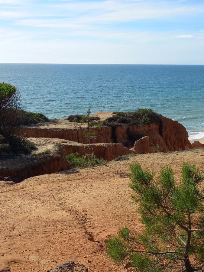 Paradise On The Beach Albufeira Exterior foto